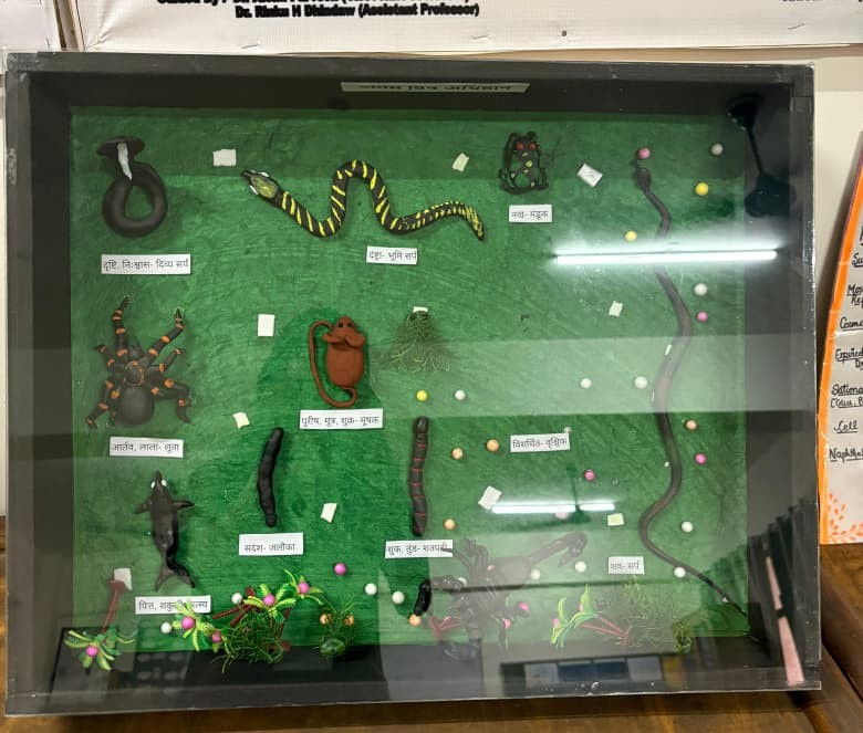 Department of Agad Tantra Evam Vidhi Vaidyak - About image 2